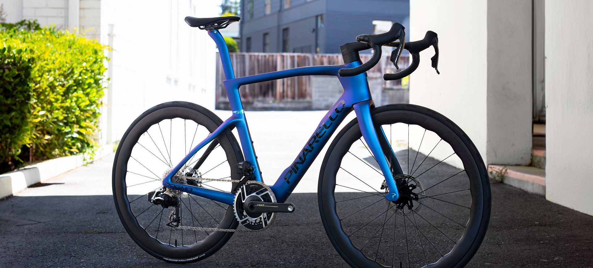 Introducing the 2025 Dogma F