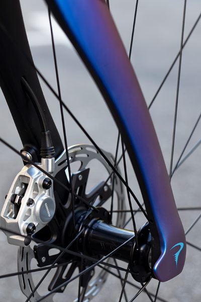 2025 Pinarello Dogm F