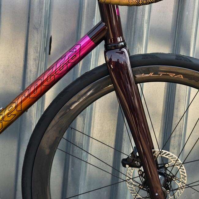 Serotta Legend T9 - Forks